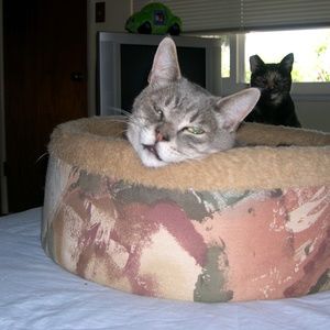 Meet your Posher, Kimberly